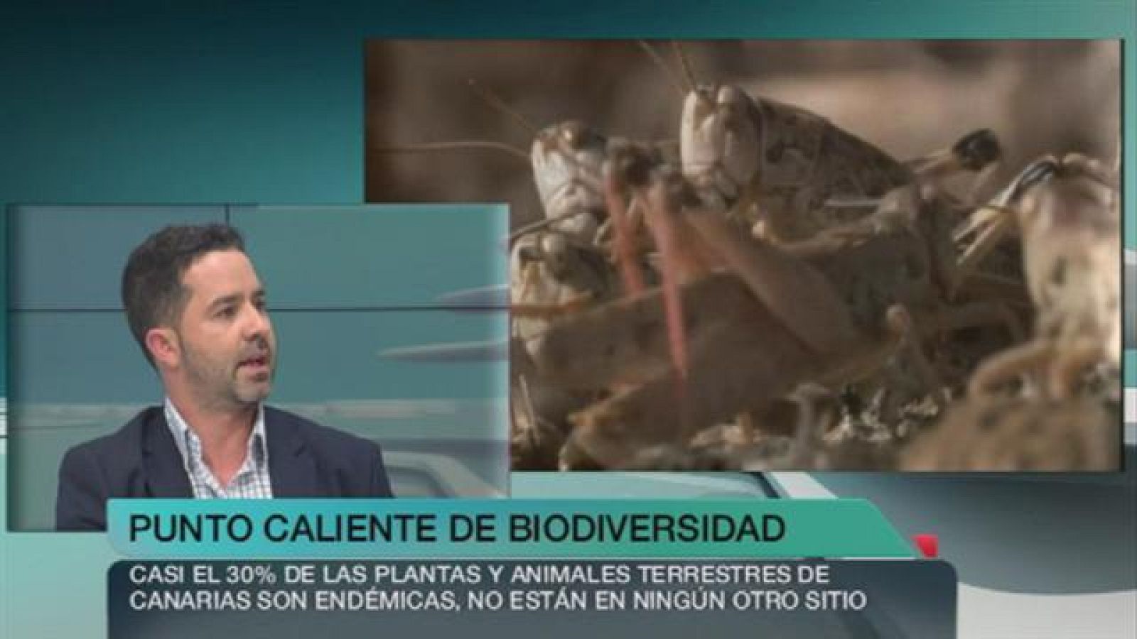 + Canarias - 07/05/15 - +Canarias | Ver