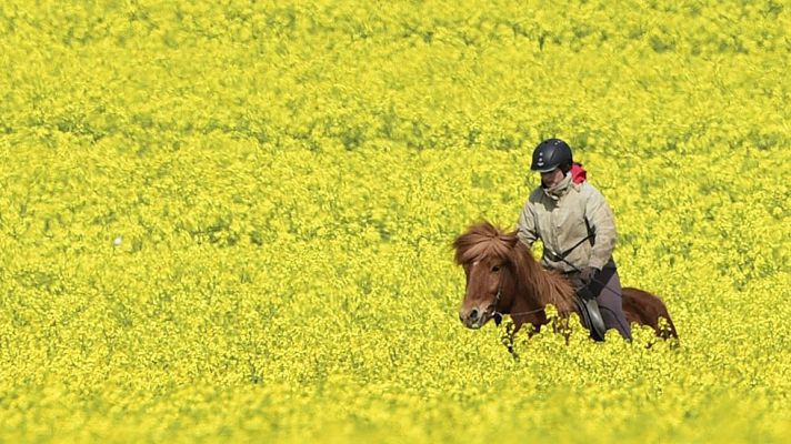El tiempo - Ascenso notable de las temperaturas en el oeste de Andalucía