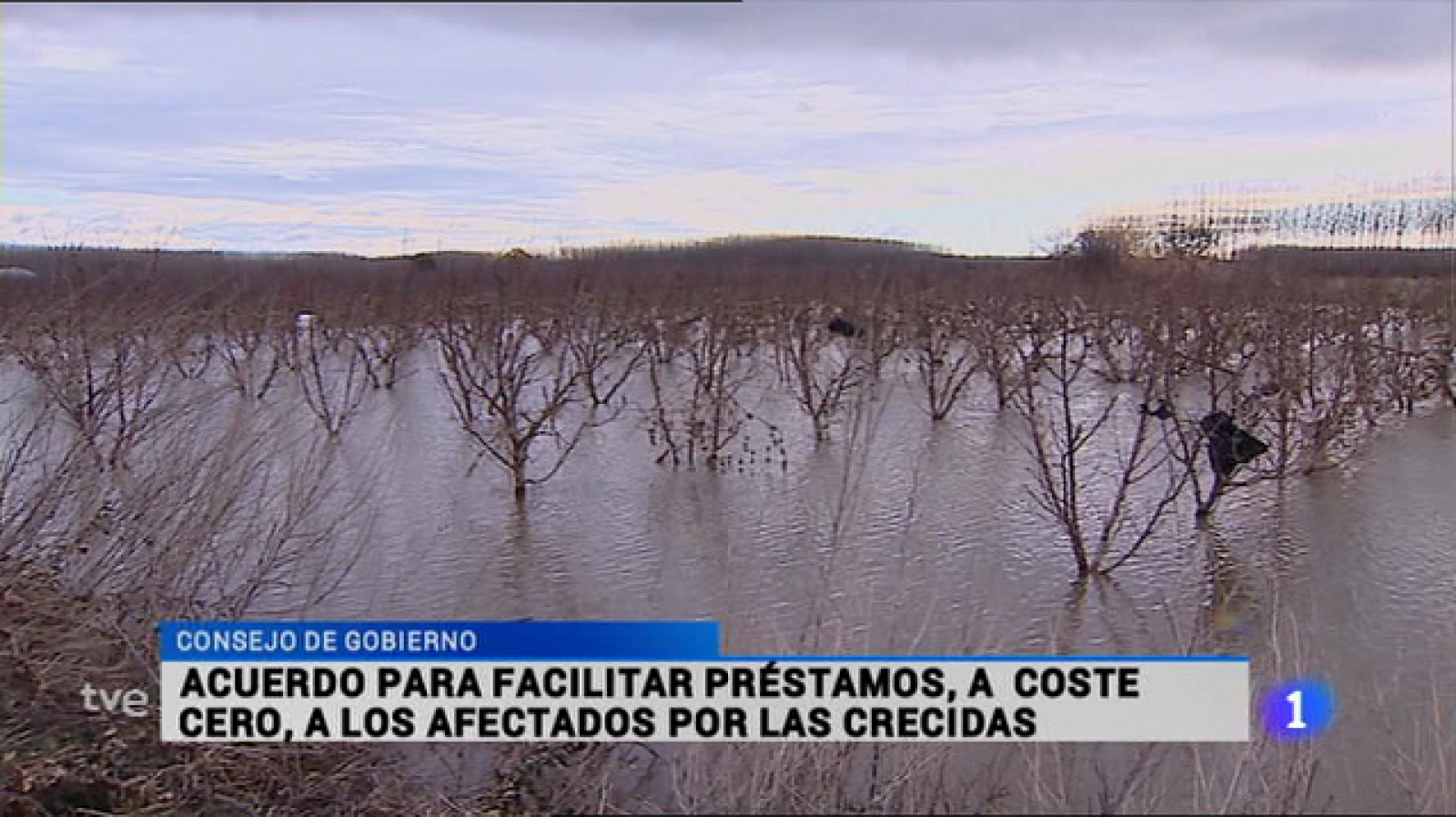 Informativo Telerioja 2 - 08/05/15