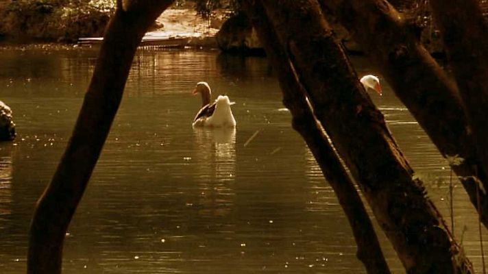 El Canal de Castilla - Capítulo 4