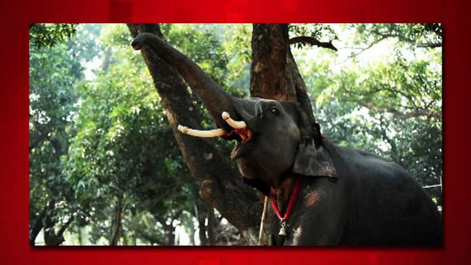 Saber y ganar. Edición Fin de semana - 10/05/15 - Ver ahora