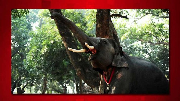 Saber y ganar - Saber y ganar. Edición Fin de semana - 10/05/15