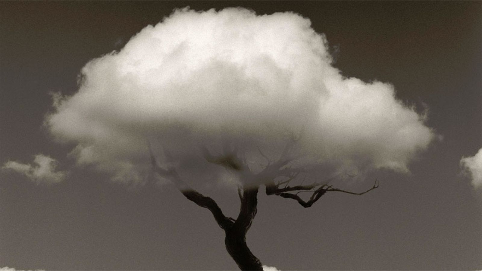 PHotoEspaña 2015 expone "Las reglas del juego" de Chema Madoz | Ver