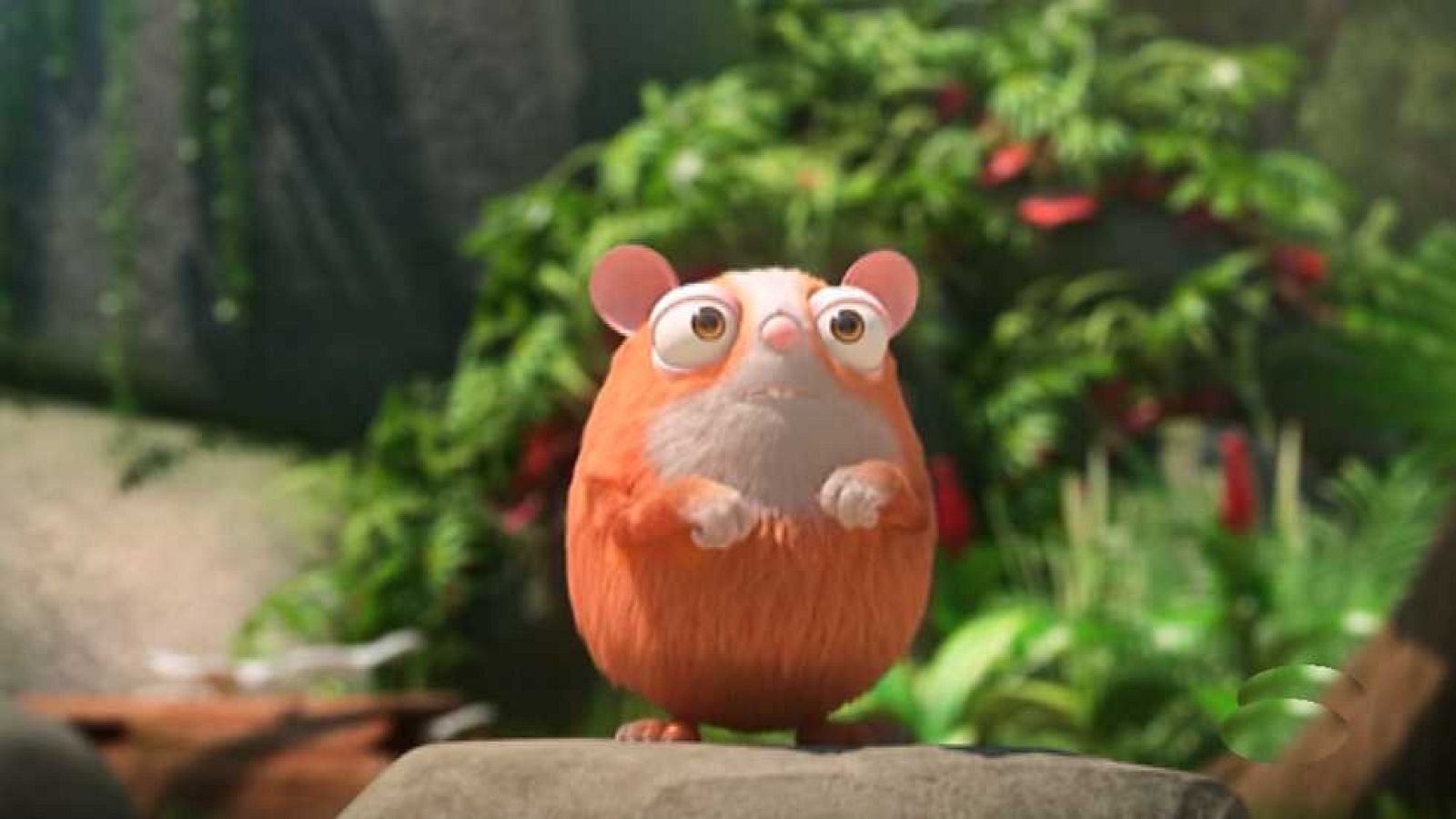 Hip Hip Hipo - La panda de la selva | Ver