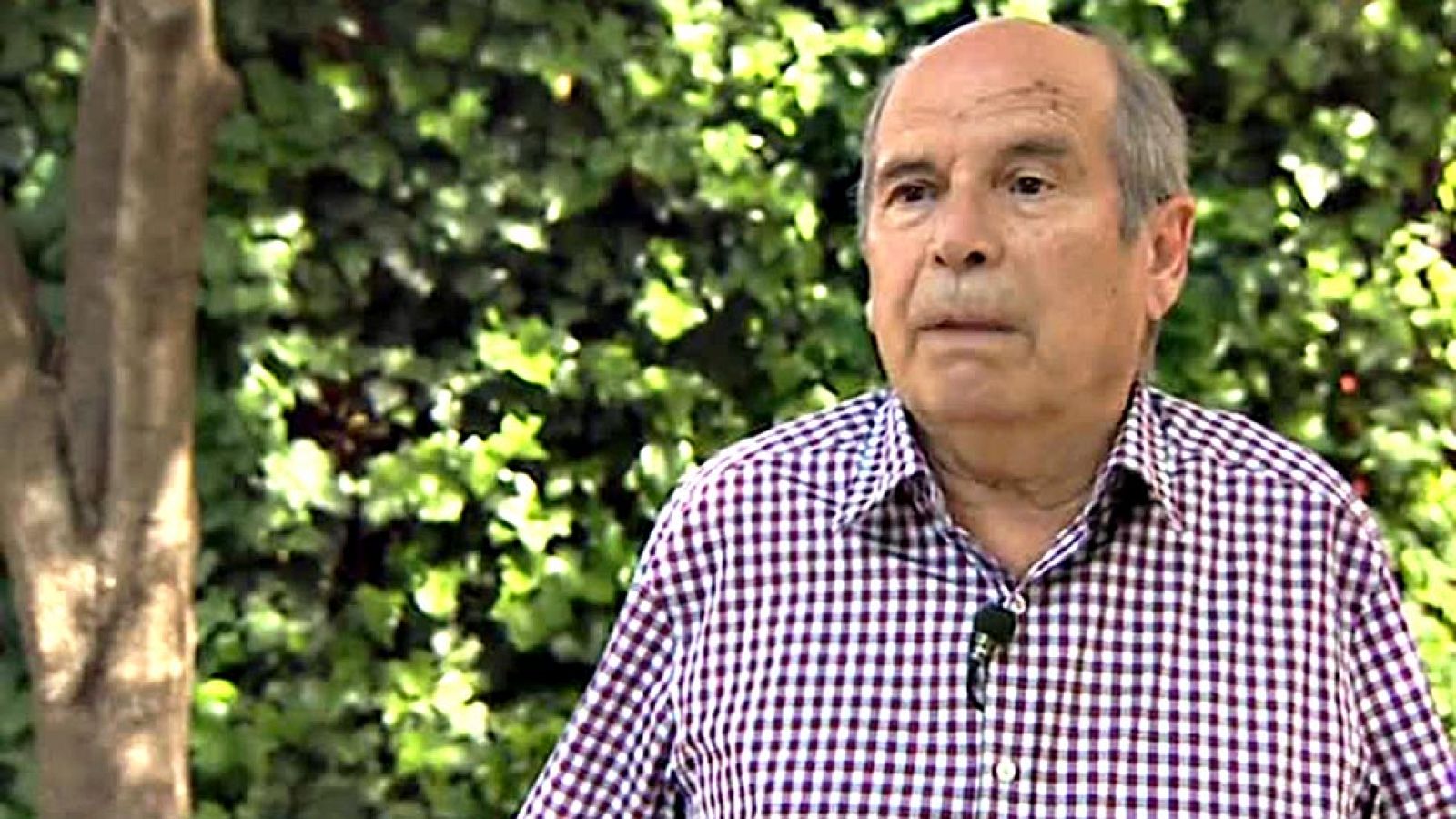 Los paisanos de Pep Guardiola quieren lo mejor para su vecino más ilustre pero antes son culés y quieren que el Barça esté en la final de Berlín.