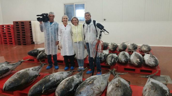 Aquí la Tierra - Aprovechando el "cerdo del mar", el atún.
