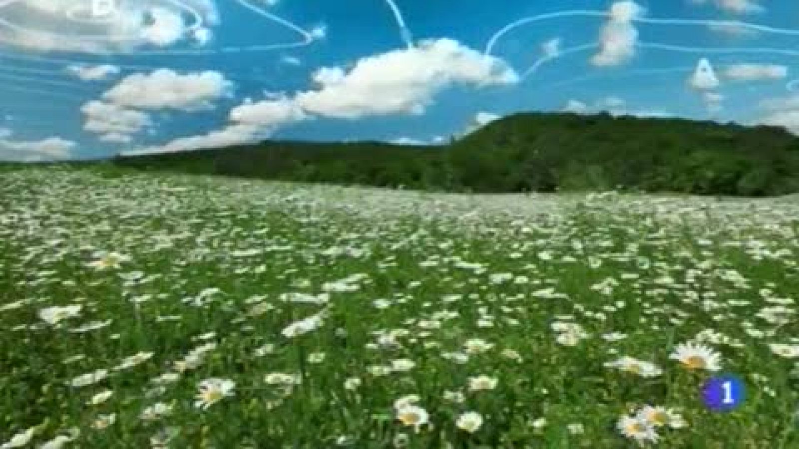 El tiempo en el País Vasco - 12/05/15