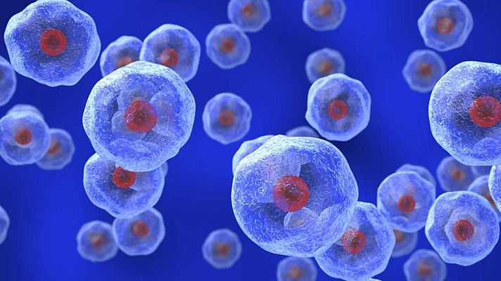 Documenta2 - Universo secreto, viaje al interior de la célula