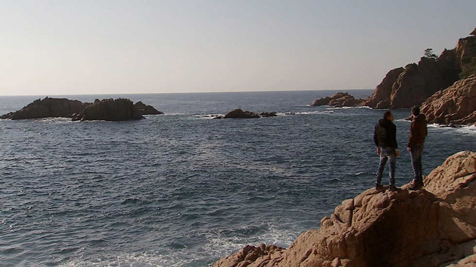 Cocina2 - T2 - Costa Brava: el erizo - ver ahora