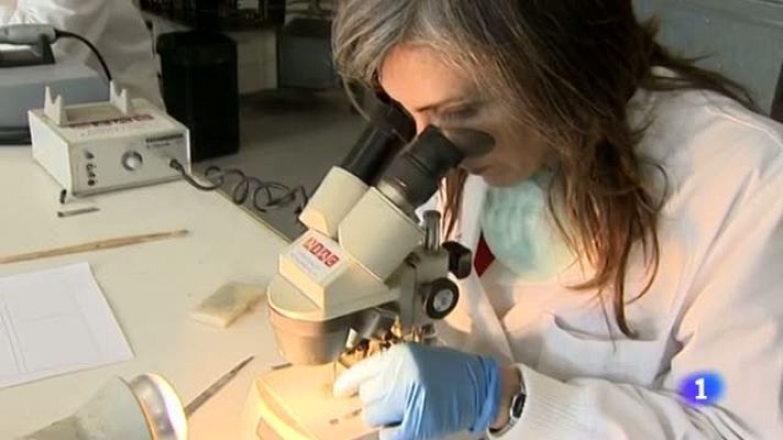 L'Informatiu - Els empresaris puntuen amb 7 les competències dels graduats catalans