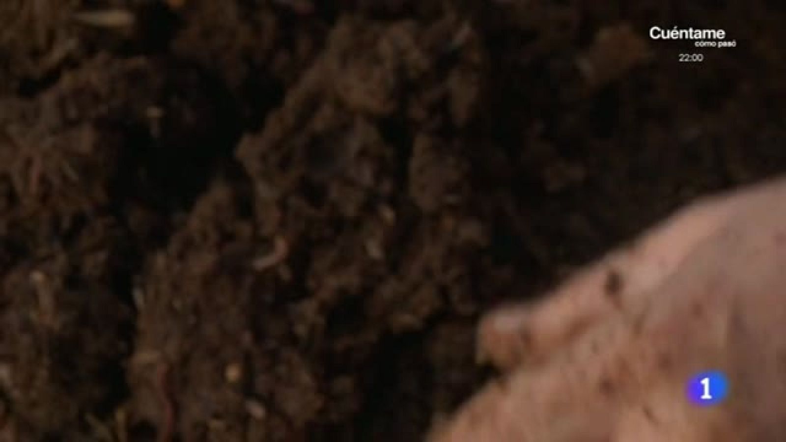 Lombrices fertilizantes todoterreno