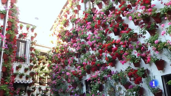 Aquí la Tierra - La belleza de los patios de Córdoba