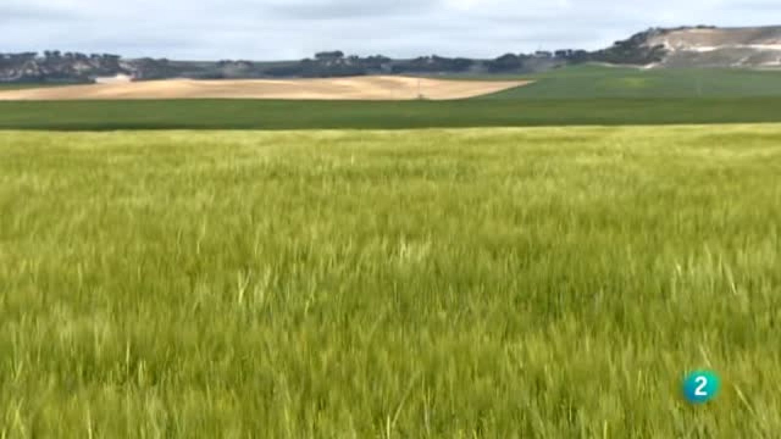 Agrosfera - En clave rural - Villalar de los Comuneros