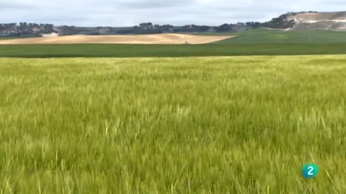 Agrosfera - Villalar de los Comuneros