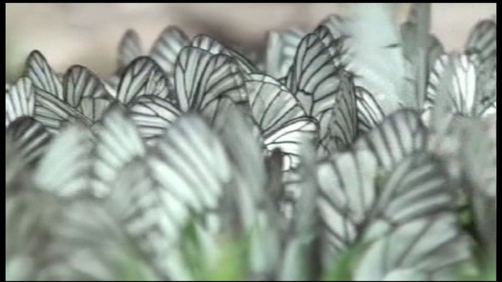 Lab24 - Programa 22 - Avance