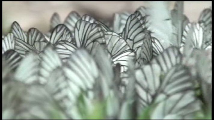 Lab24 - Lab24 - Programa 22 - Avance