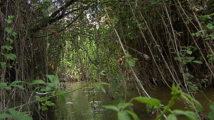 Telediario 1 - Estudian los niveles de fármacos que hay en los ríos