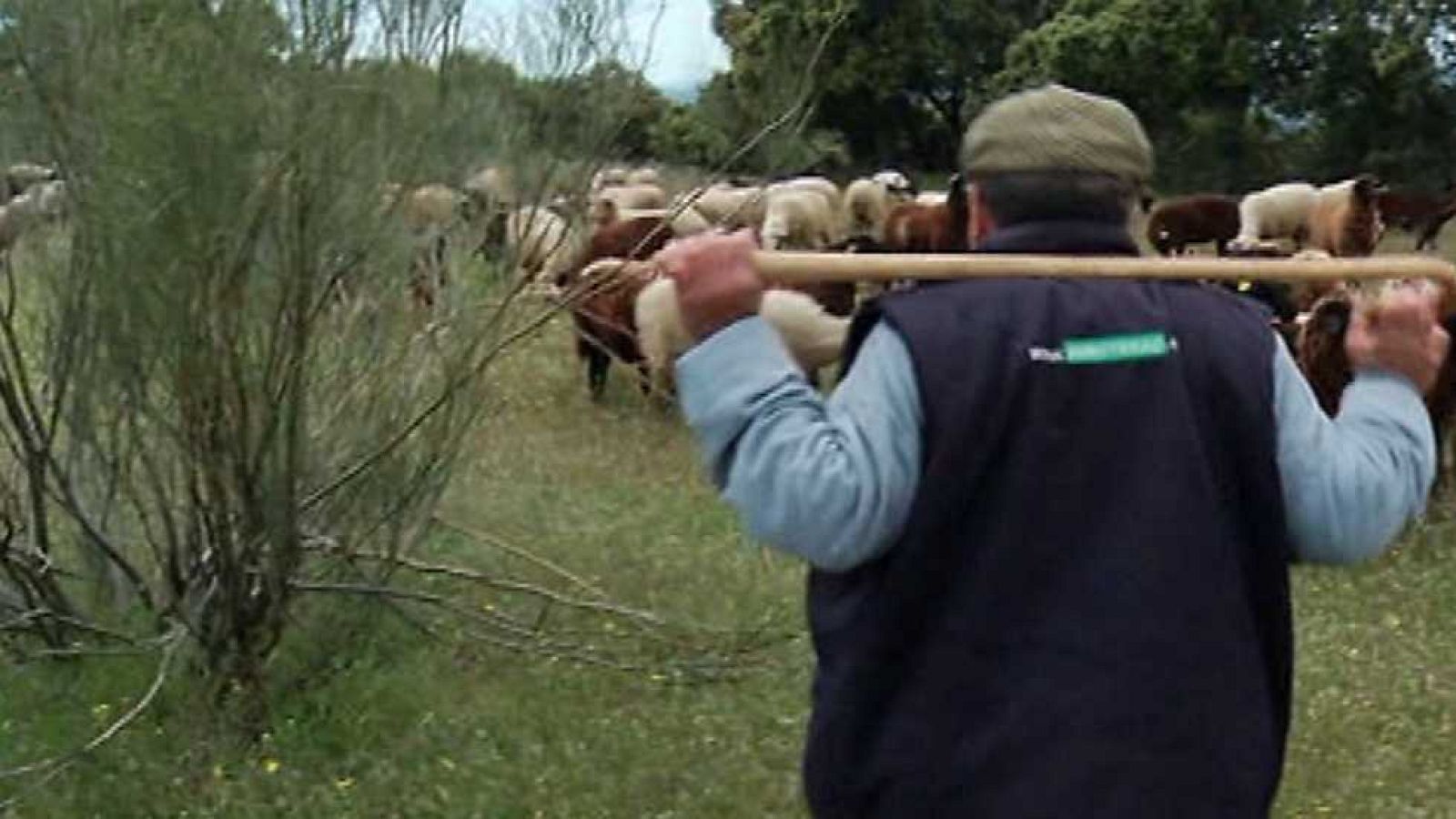 Aquí la Tierra - 19/05/15 - ver ahora