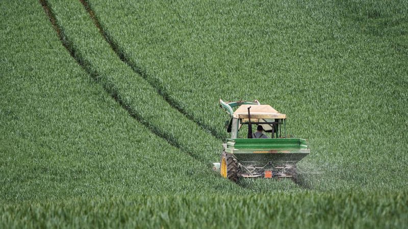Viento fuerte en Canarias, el valle del Ebro y Ampurdán