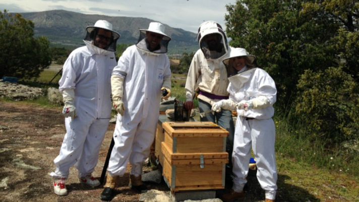 Aquí la Tierra - Apicultora por un día