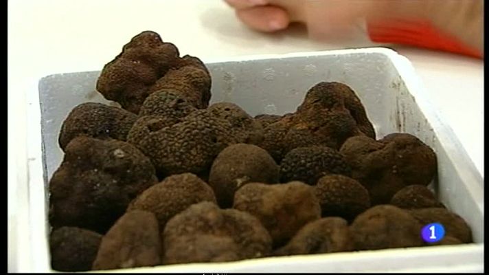 Noticias Aragón - Noticias Aragón - 21/05/15