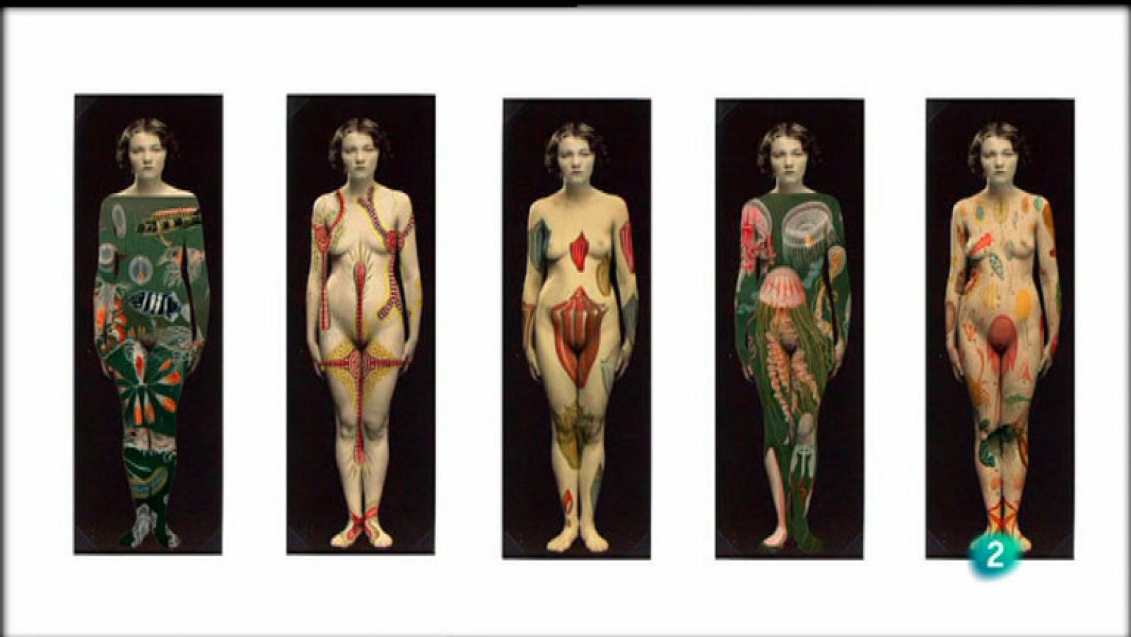 La Aventura del Saber. Boek Visual. Isidora Bailly