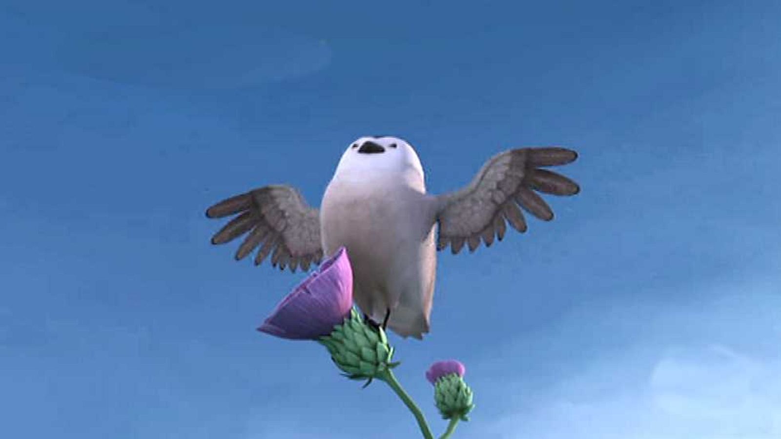 Salvemos a Pichi - Heidi | Ver