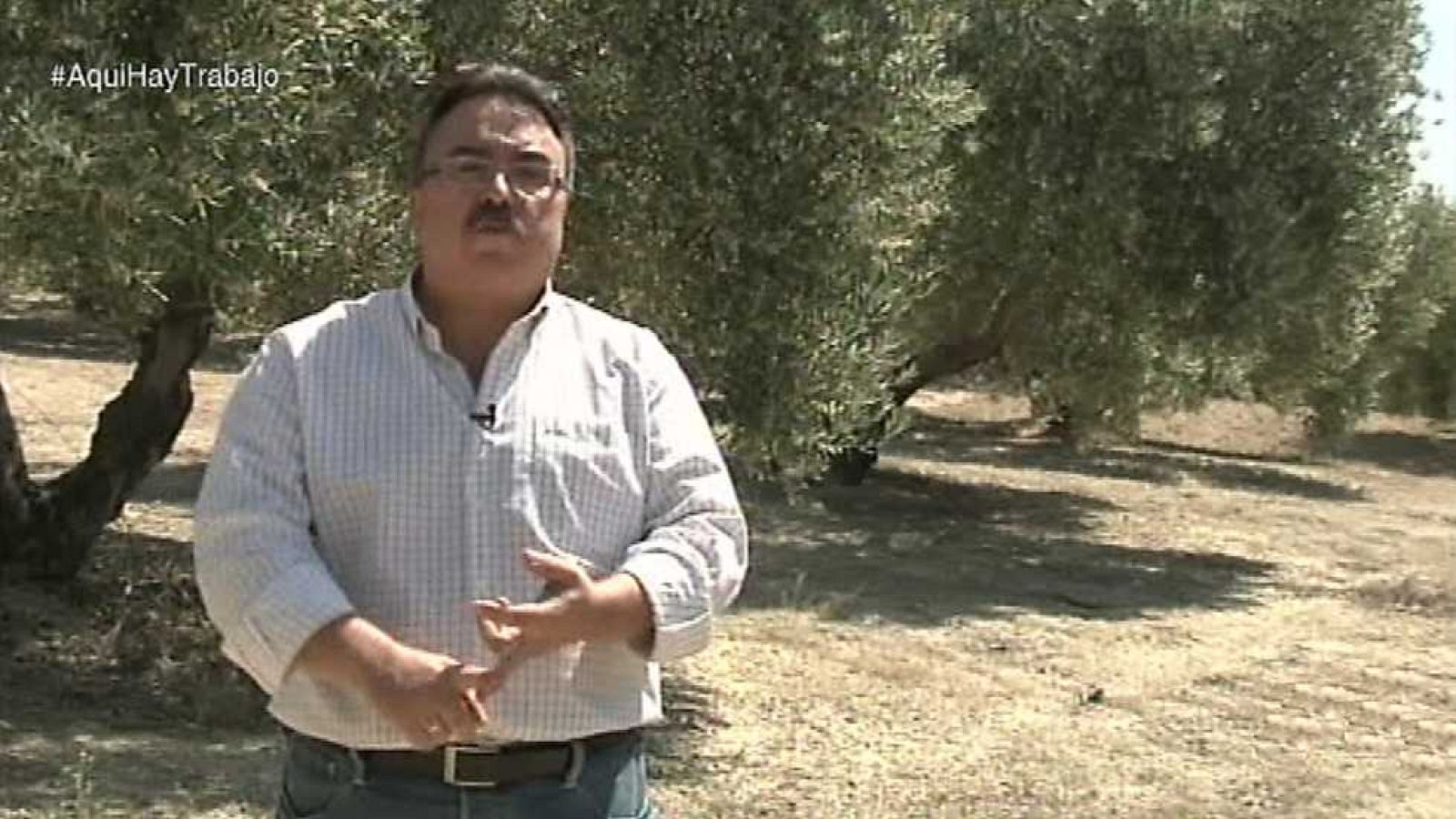 Aquí hay trabajo - 22/05/15 - Ver ahora