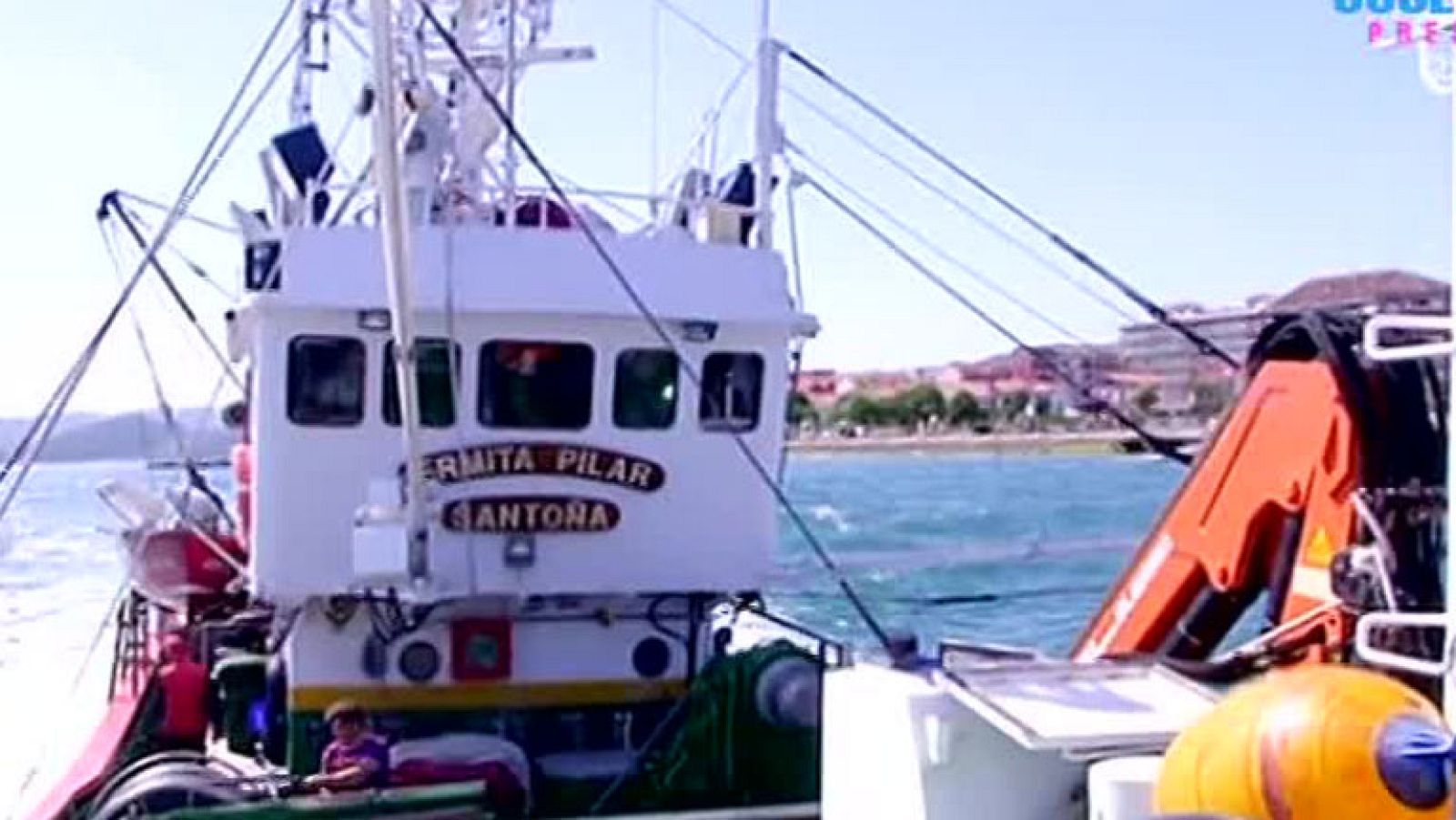 En busca de las mejores anchoas (I)