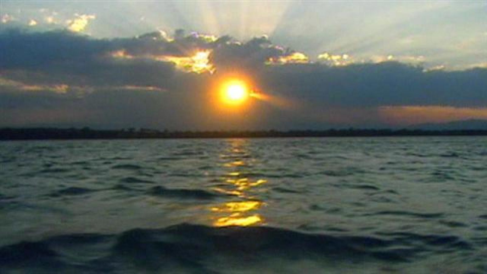 Teleplaneta - 23/05/15 - Teleplaneta | Ver