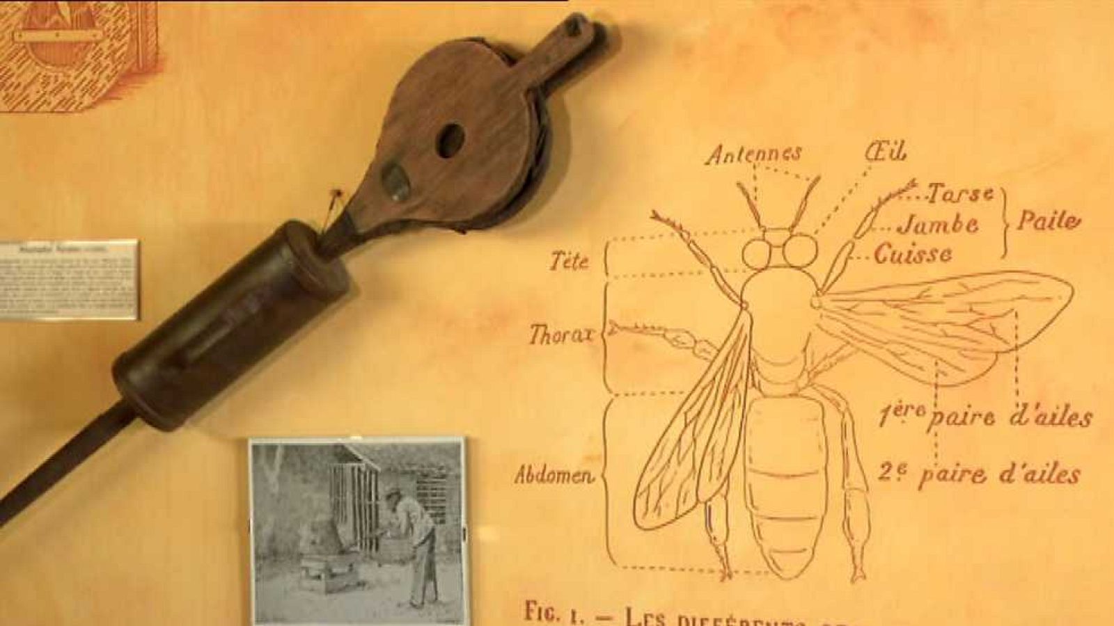 Agrosfera - 23/05/15 - Ver ahora