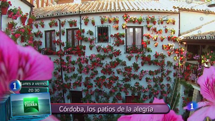 Lo que hay que ver ... - Lo que hay que ver - 24/05/15