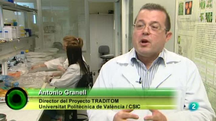 Agrosfera - Agrosfera - Laboratorio de ideas - Mejora del tomate autóctono