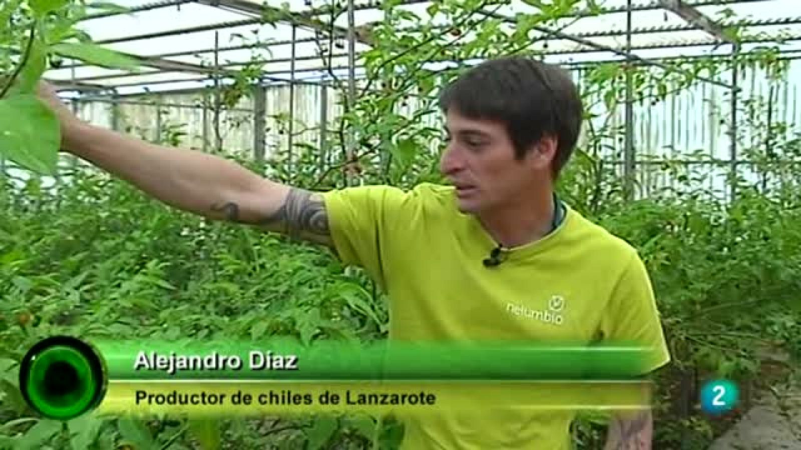 Agrosfera - Con mucho gusto - Cultivo del chile