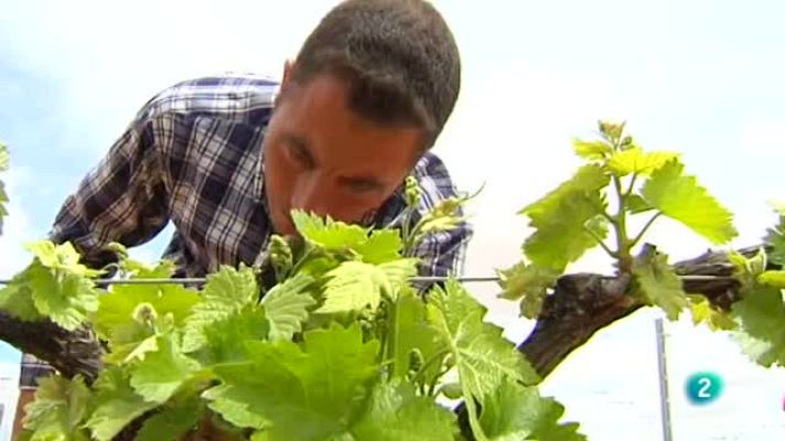 Agrosfera - Red natura 2000