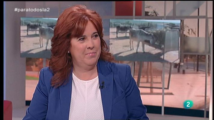 Para todos La 2 - Animales -  Los burros