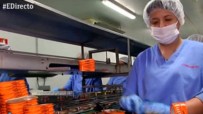España Directo - En busca de las mejores anchoas (II)