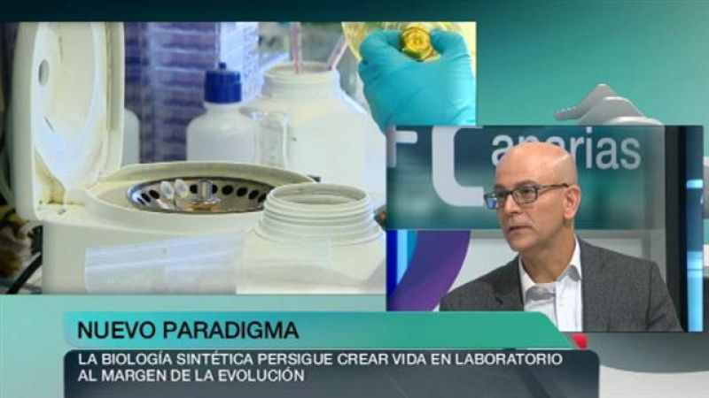 + Canarias - 25/05/15 - +Canarias | Ver