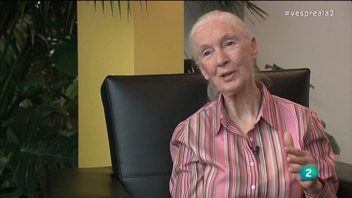 Vespre a La 2 - Reportatge sobre Jane Goodall