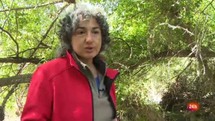 Repor - Invasión animal - Loreto García Román