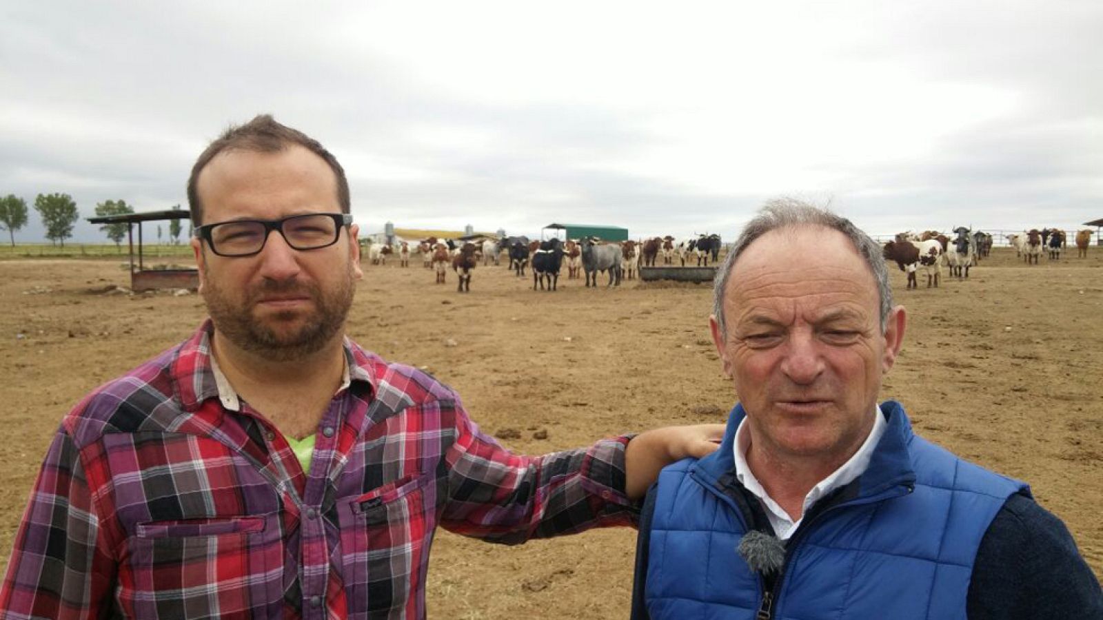 El saxofonista que cuidaba a los bueyes