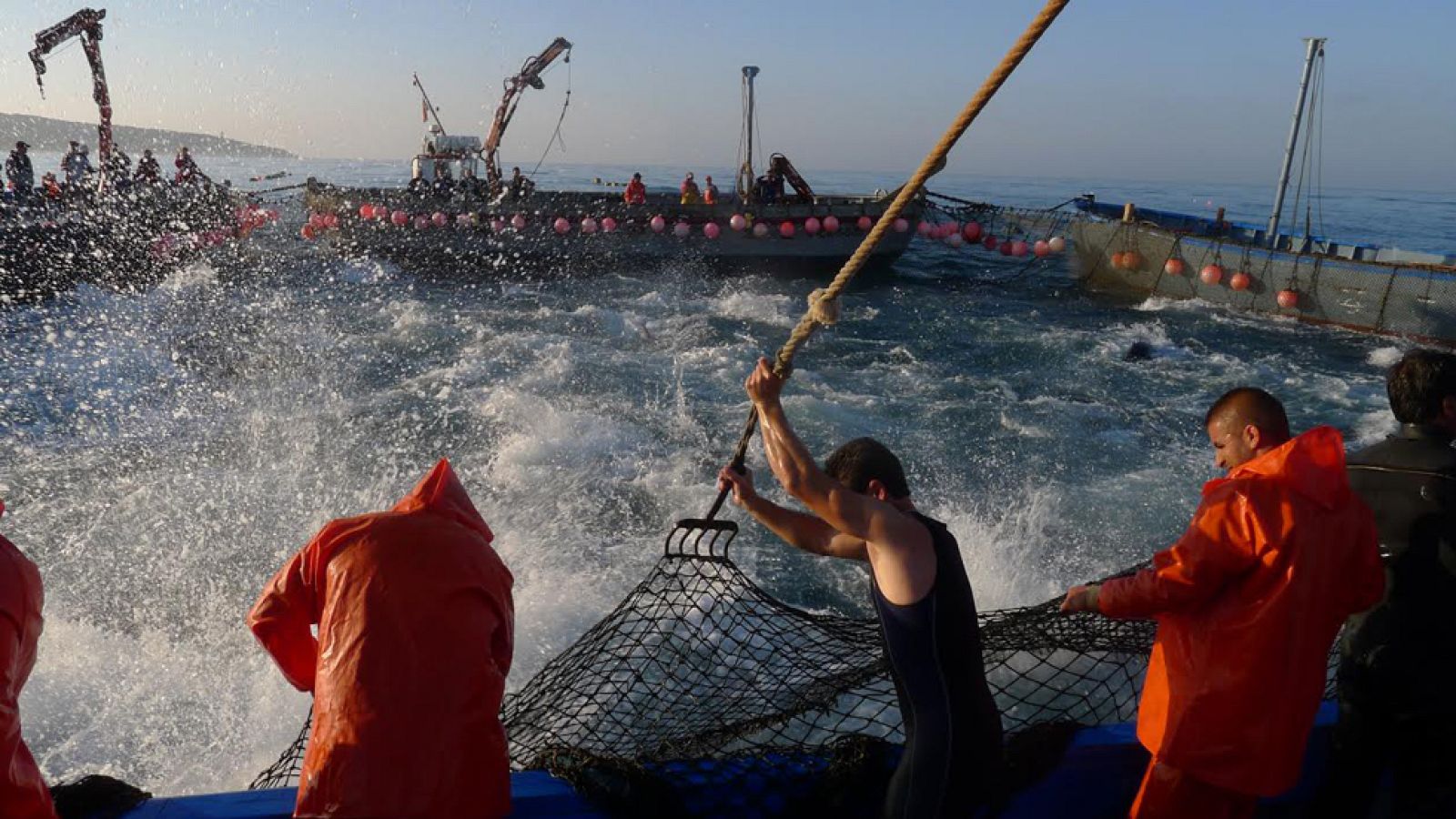 Impresionante levantá de los atunes