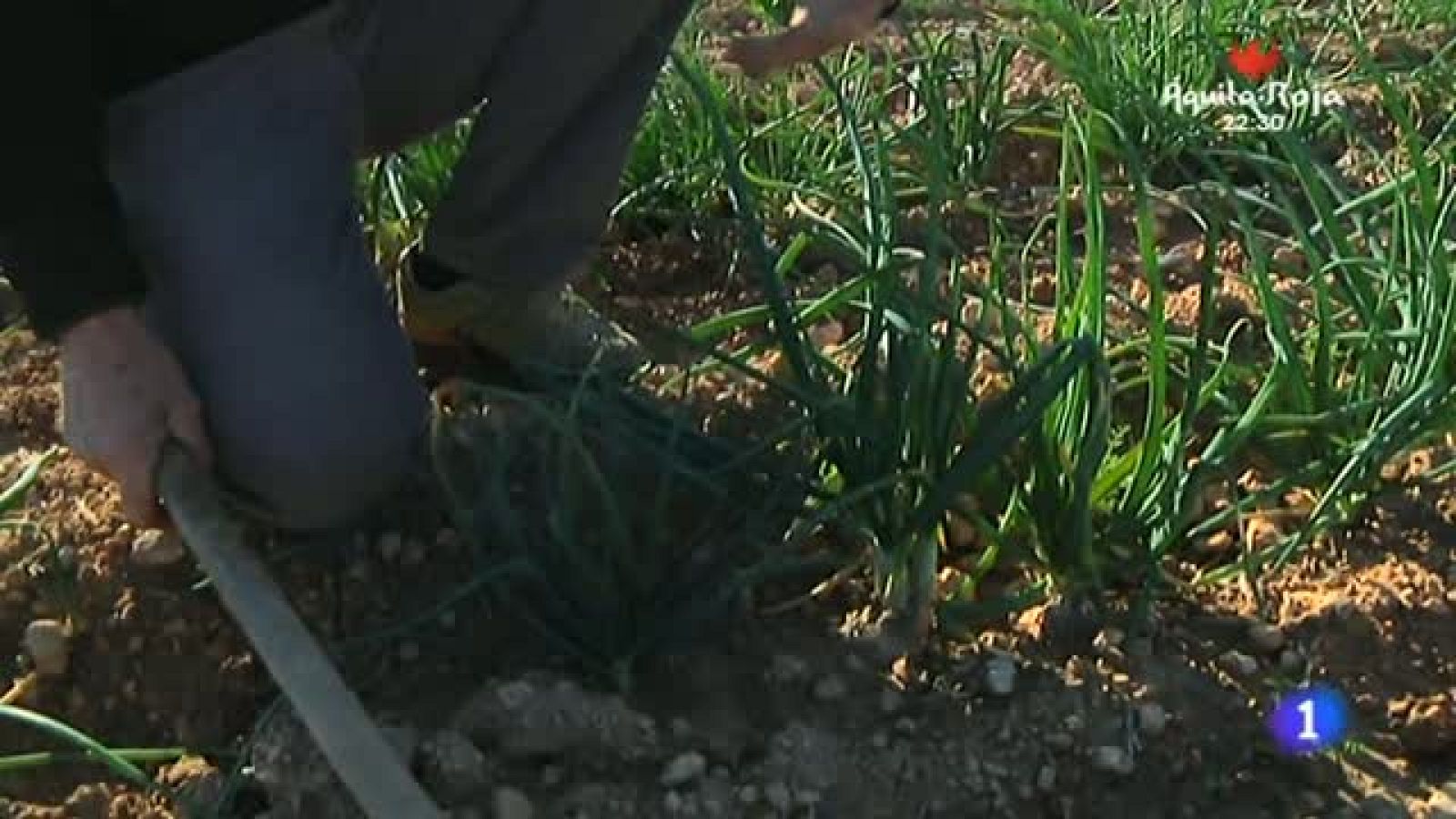 Momentazos divertidos de los reporteros