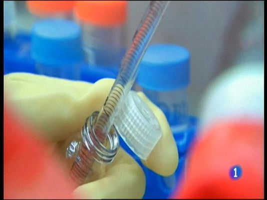 Panorama Regional - Panorama Regional 2 - 28/05/15