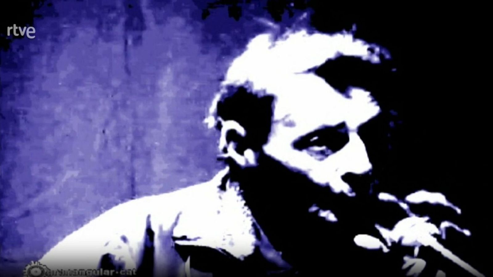 Els néts de l'avantguarda - Granangular.cat- arxiu - Granangular.cat | Veure