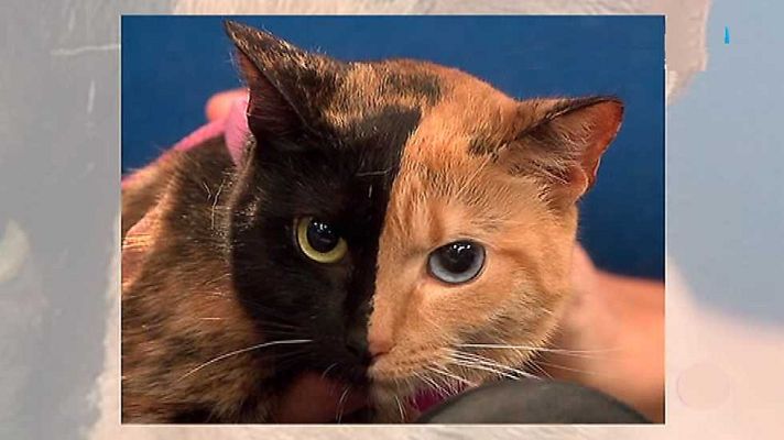 Aquí la Tierra - Aquí la Tierra - 29/05/15