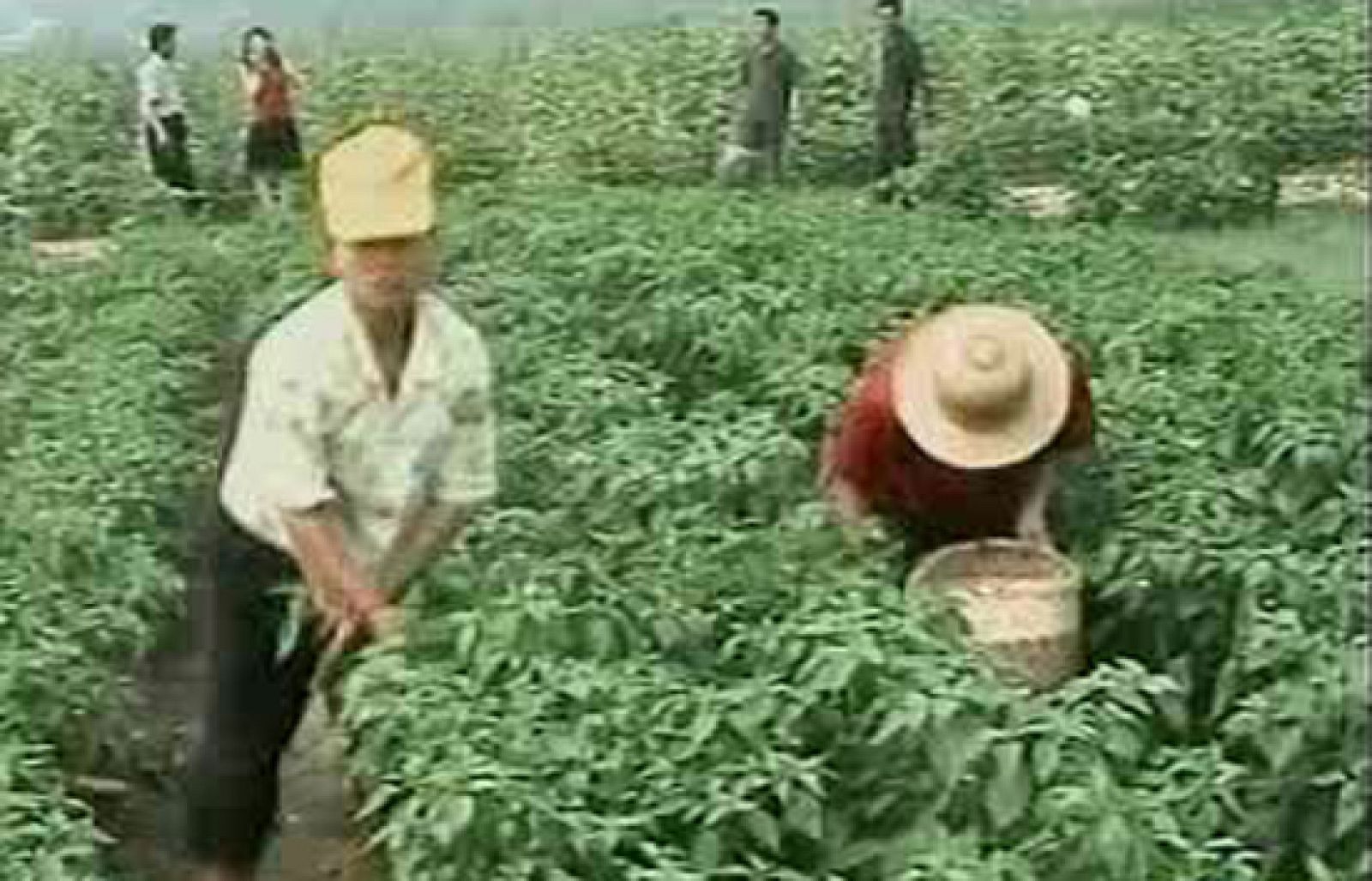 El FMI recibe con satisfacción el mensaje de "todos a una" lanzado por la U.E. | Ver