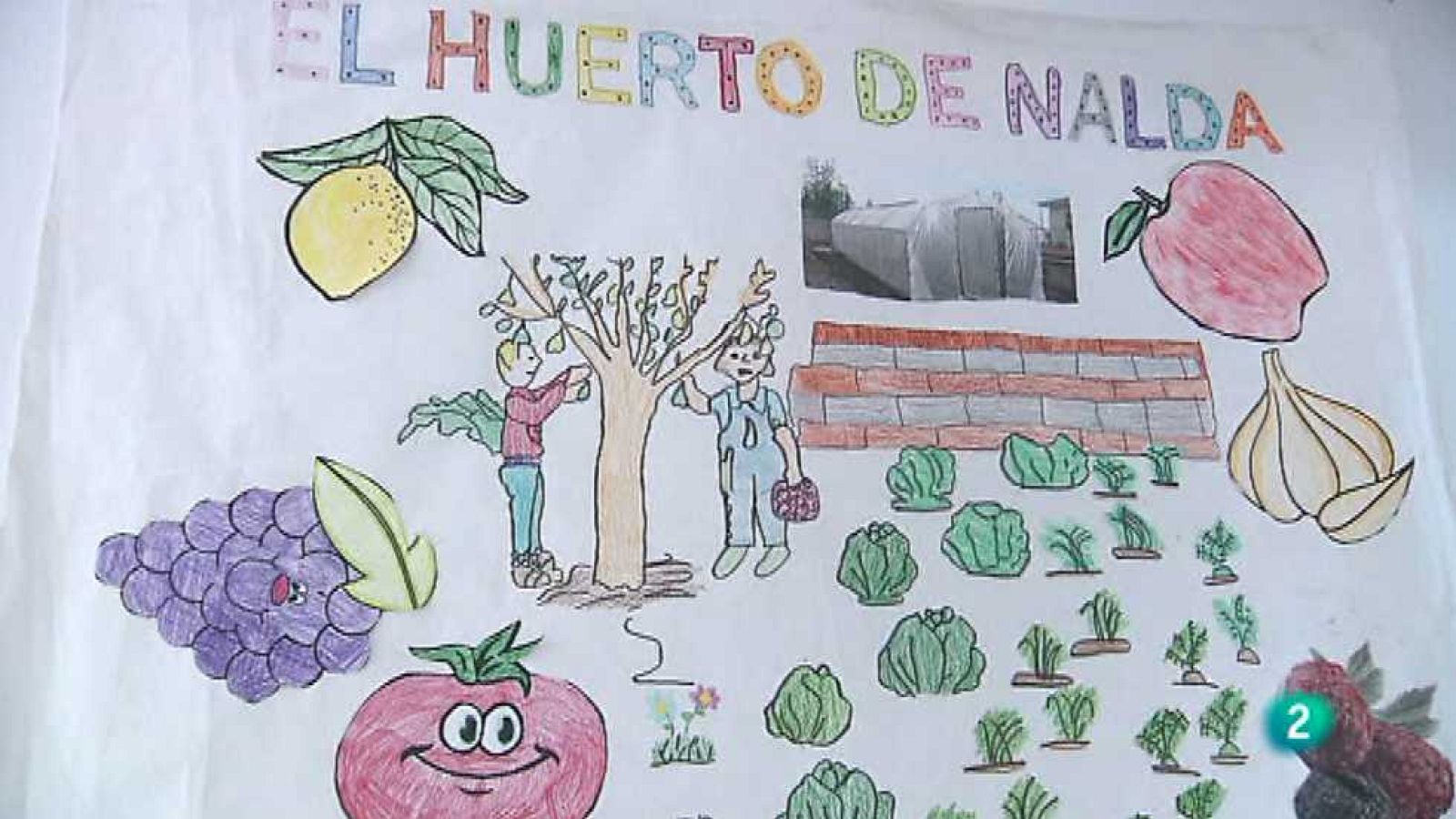 La aventura del saber - 01/06/15 - ver ahora