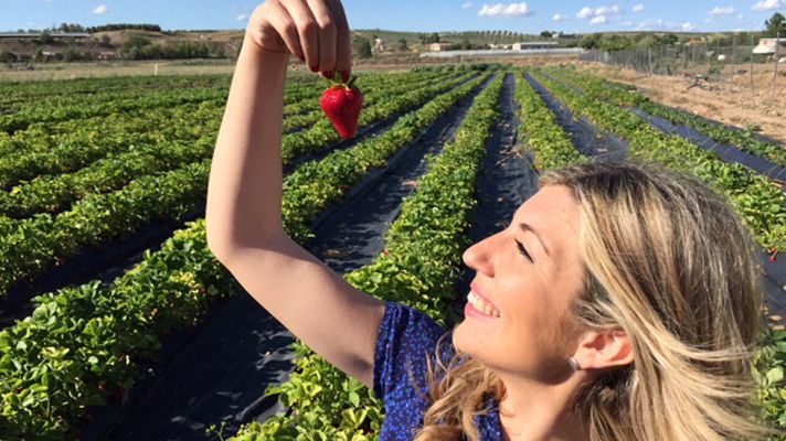 Aquí la Tierra - Fresas y fresones manjares de Aranjuez