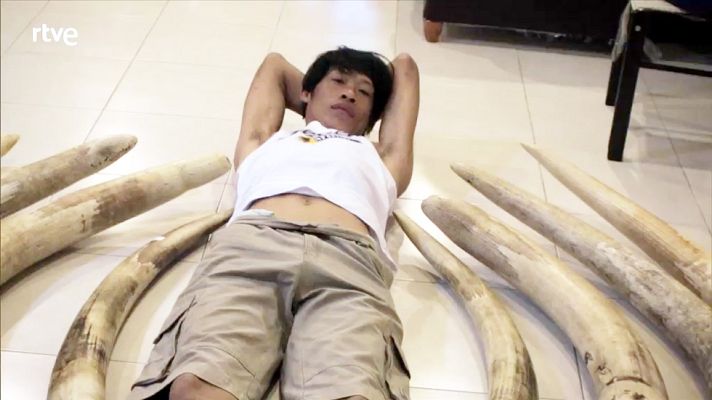 La noche temática - Invertir en la extinción - Comienzo